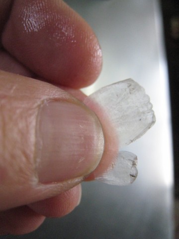 rx2o6mft4tn87rdp3484_480_480-eaf9fdb9.jpg