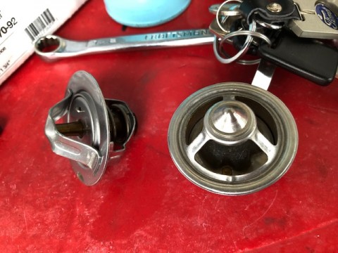 rx2tj5c2jygi2fc4g2dd_480_480-878b2586.jpg