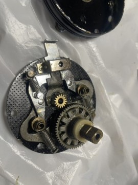 rx3g45dn76pzz5nr7djr_360_480-969cd028.jpg