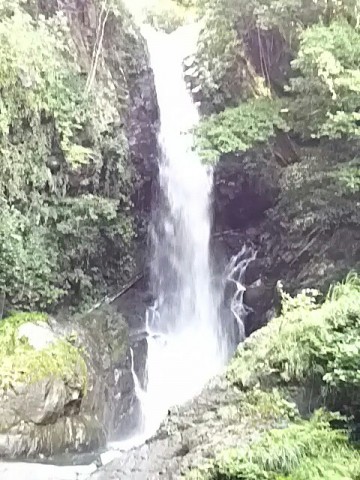 rx47r6kzvjabuyag9iuy_480_640-670819ba.jpg