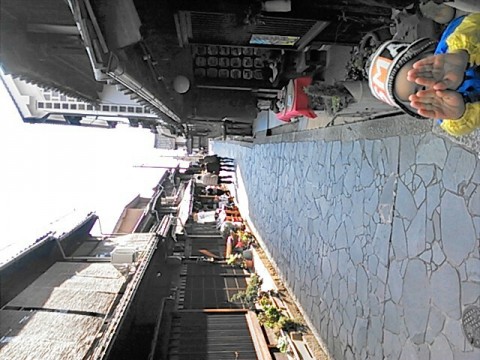 rx4no933cbarddmkm3ej_640_480-3c8fe69e.jpg