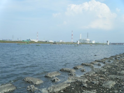 rx6bmhdy6kj7378ryae2_480_480-3936c137.jpg