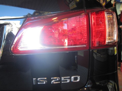 rxa8k54bhadfmas8zs6x_480_480-97cabac3.jpg