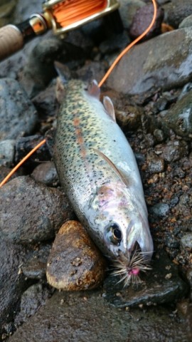 rxbghmut262oz85wksub_518_920-3e1765aa.jpg