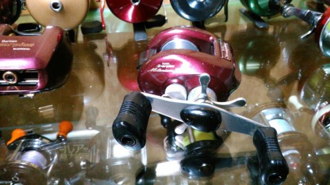 rxvhc4snv9jazkewvepu_480_480-1ea2af44.jpg