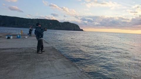 rxxr5vggnfayr4zgaibn_480_480-b8686f30.jpg