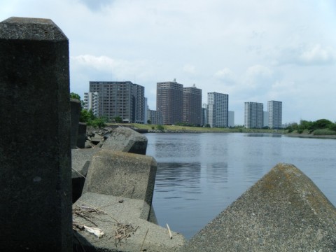 rxyhgrvjzoxm9pb2yzfu_480_480-cf069c5c.jpg