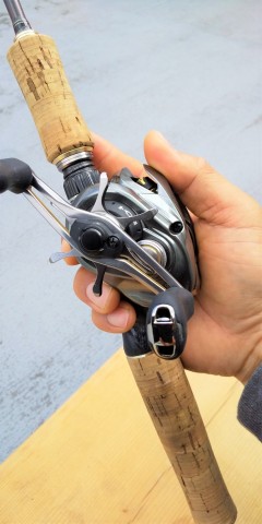 ryaojo9nt6kczznhrf5h_480_480-94183f94.jpg
