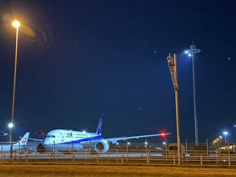 ryegbbn92jixnb5fmtoh_480_480-192dfccd.jpg