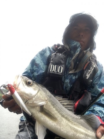 ryhvbk283j5yrwet8fbg_690_920-5b3e8933.jpg