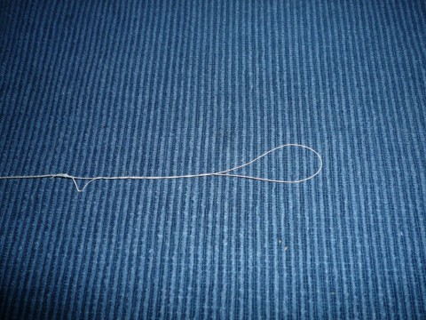 rykdn8u6o9u2amwyr35y_480_480-090fc895.jpg
