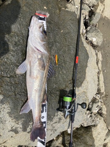 ryryd37yohevibix3oow_480_480-f72de712.jpg