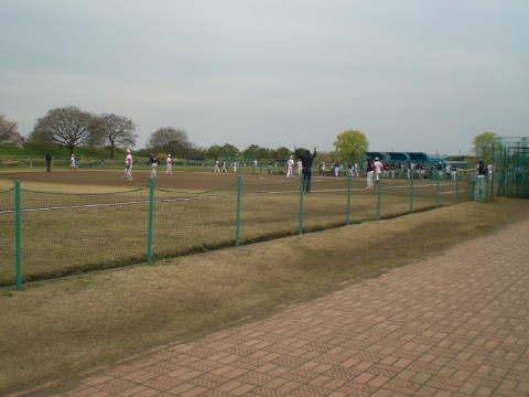 rysupczsih9j34abcwcd_480_480-e83c266e.jpg