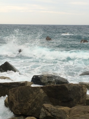 ryvuoa8jbsdwcmm9vwtb_690_920-c4787881.jpg