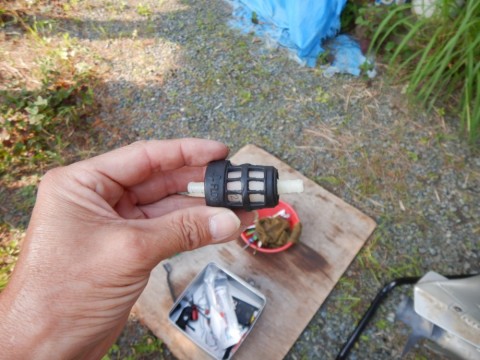 rz74osvddtpa5succhmf_480_480-3e93a527.jpg