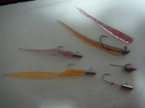 rzcses6zmpaery7hb733_480_480-8585f899.jpg