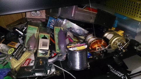 rzg4ushm7zyrtv6gwd73_480_480-54010fb0.jpg