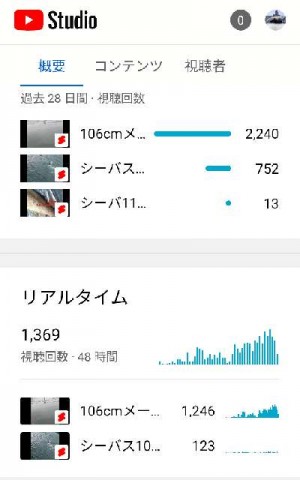rzmwi8zngx3j8ithkjje_480_480-b4eda58f.jpg