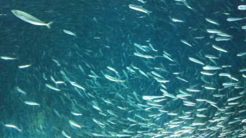 rzzenti7eoimkm8ys7n3_920_518-c15b3e75.jpg