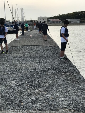 s25mjucw2a8kdtgujpb2_690_920-a34d2258.jpg
