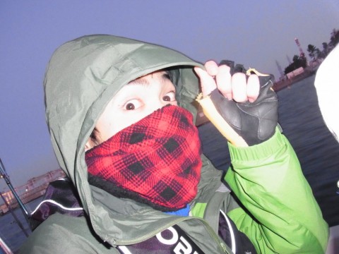 s2cbdckg6a7fbuejcsf8_480_480-1ffa1b44.jpg