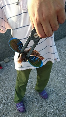 s2cxdmfd3mk7gogvg8di_518_920-fecdd020.jpg