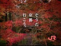 s2e48aask2d25pzr73wo-20623449.jpg