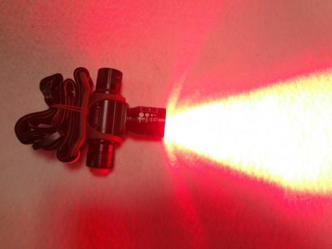 s2r429fvcz9e352k6489_480_480-a9283d27.jpg