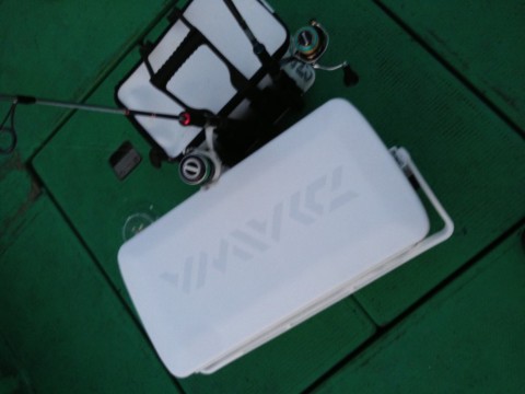 s2vxb7tpcdmip7b665ka_480_480-4bfcfcf7.jpg
