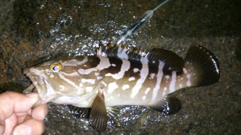 s3cv4atvizgniokbkhwy_920_517-ac6e6e79.jpg