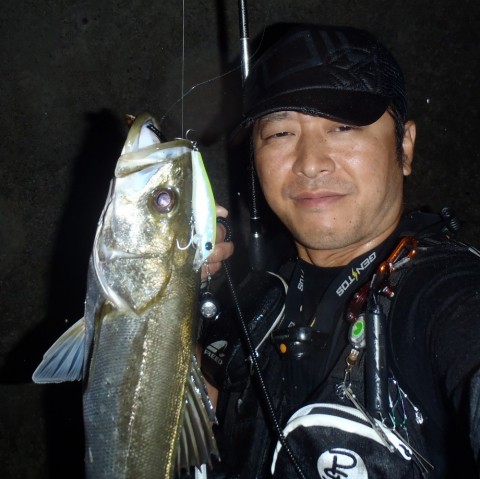 s3isuyjjpbafr4s4d7gu_480_480-cabb47f3.jpg