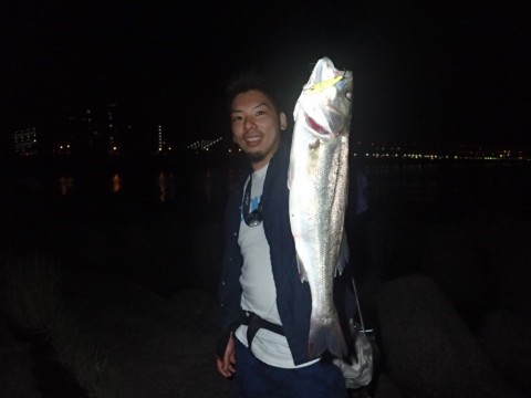 s3khcopw335688wi38z5_920_690-5849af75.jpg