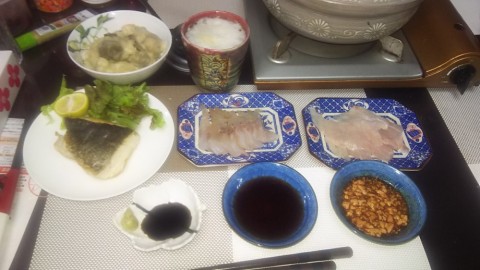 s3xf2vskmn32gtekcdwe_480_480-99b23d9a.jpg