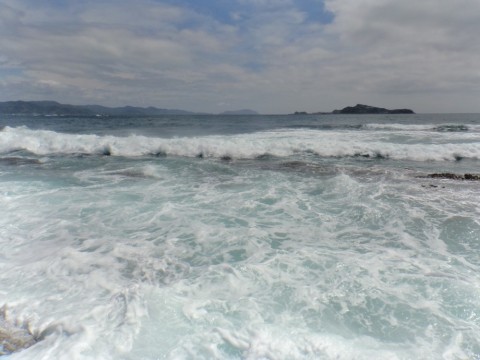 s4meys4ucx2nz6cxvjjm_480_480-89056b1b.jpg