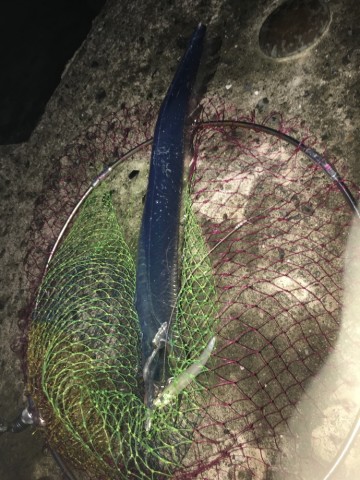 s4nm7b4z2vx8zafx7a9x_690_920-6b42cea1.jpg