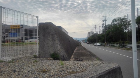 s4tg7649tkjja26nkxou_480_480-e29a0a23.jpg