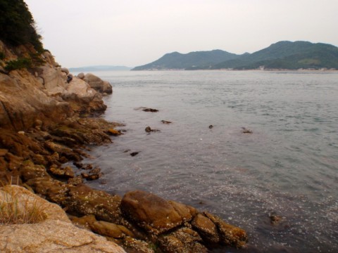 s4uh8bsntjrdh9udn43d_480_480-bce754b4.jpg
