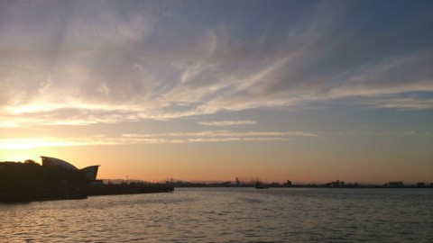 s4vhvbhh94afjd8er8fv_480_480-125edcd6.jpg