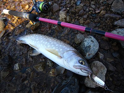s5474ioi9r7s7c2fcrzw-118b0bf6.jpg