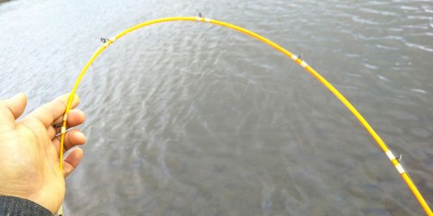 s54vtn3bp47cxnmhvawi_480_480-95011418.jpg