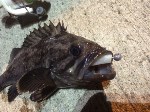 s5d956ojppoa5jgga3mn_920_690-403b1773.jpg