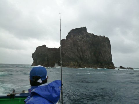 s5mys77kmwh96wvix7xt_480_480-481db011.jpg