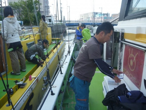 s5ww8n724jvbf5vnhnxy_480_480-cf54915a.jpg