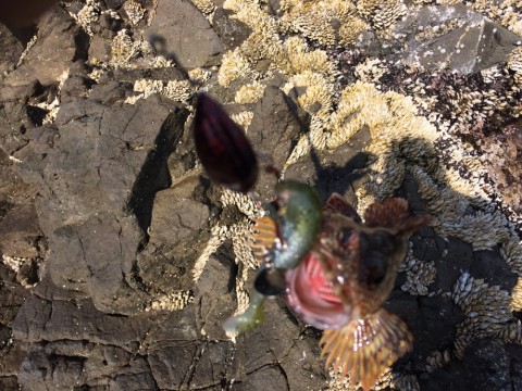 s67vjynij7upkgv47z75_920_690-392e3a59.jpg