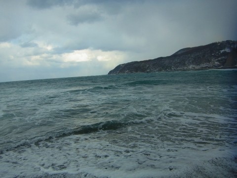 s6cm6rdhbory2x3migcg_480_480-9587230d.jpg