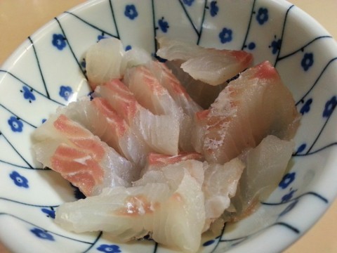 s6fjo8iyu7xhe9wbfheu_480_480-86d83c49.jpg