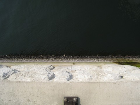 s6hsdczjcn7ygk9wh5uj_480_480-2b9ad77e.jpg