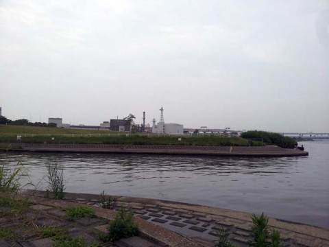 s6im2rf9kantyr9xy8tu_480_480-bd9feca8.jpg