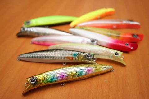 s6ivhbypwwwatcmwmvjc_480_480-050fe523.jpg