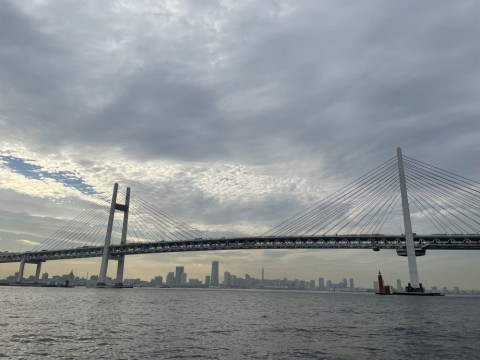 s6mxj2n897uumuxwo9x6_480_480-25d8abd8.jpg